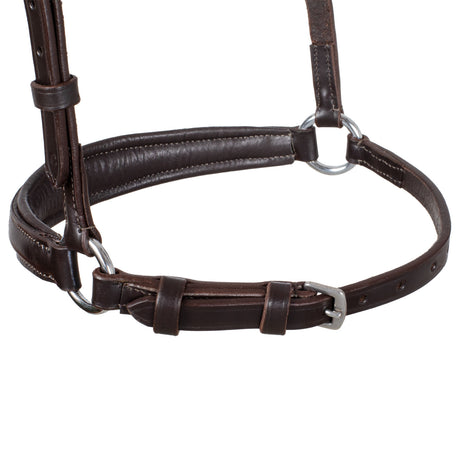 Equestro Leather German Style Noseband Bridle #colour_brown