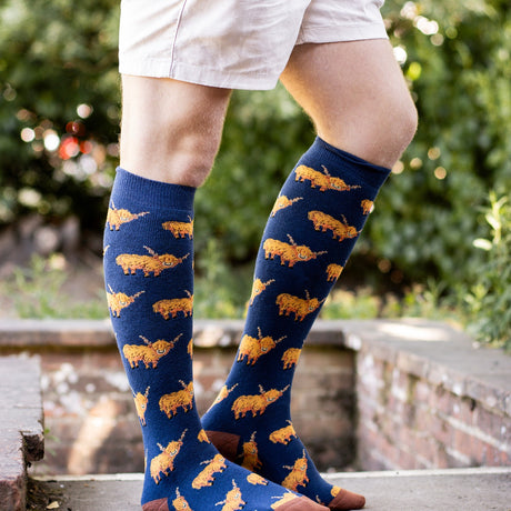Bartleby Mens Funky Welly Socks #style_hardy-highlands