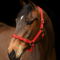 Equi-Sential Nylon Clip Headcollar #colour_red