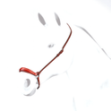 Equipe Plain Hannoverian Noseband #colour_red-brown