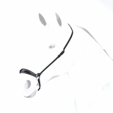 Equipe Plain Hannoverian Noseband #colour_black