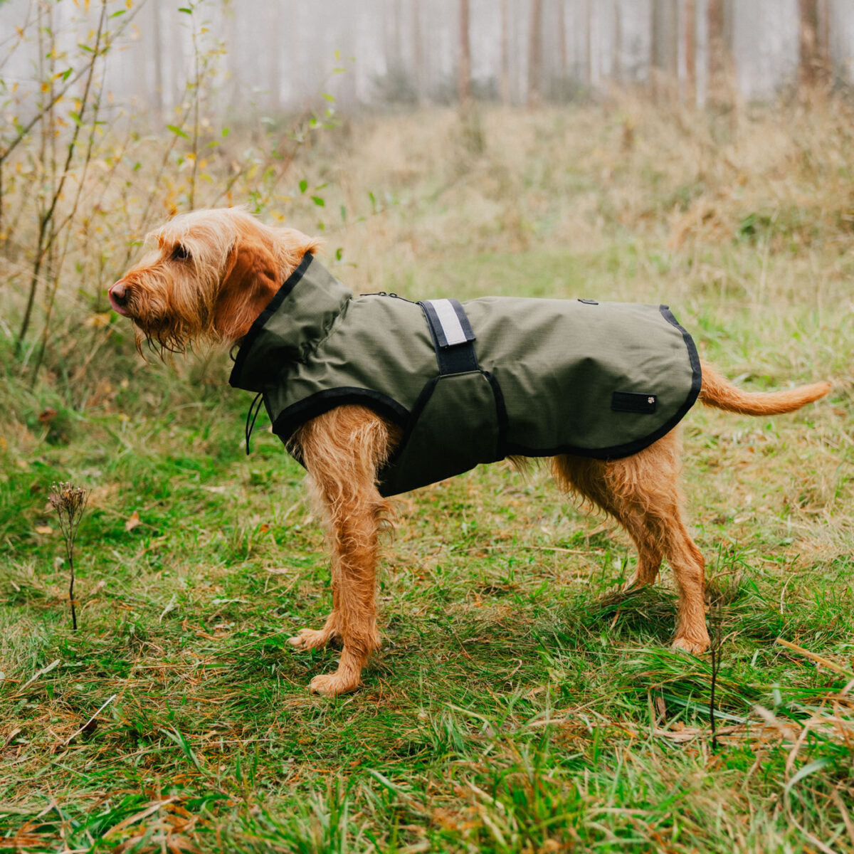 Danish Design 3-In-1 Dog Coat #colour_olive