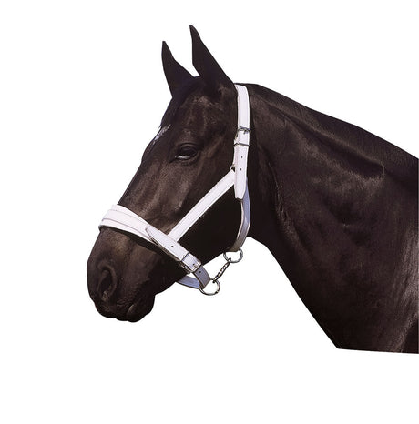 Norton Club Chrome Leather Head Collar #colour_white