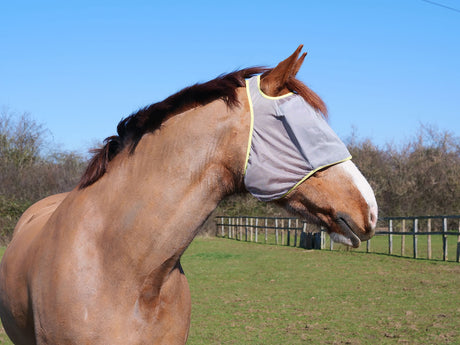 Equilibrium Field Relief Midi Fly Mask Without Ears #colour_black-orange