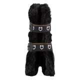 Equestro Spider Man Anatomical Tendon Boots With Synthetic Sheepskin #colour_black