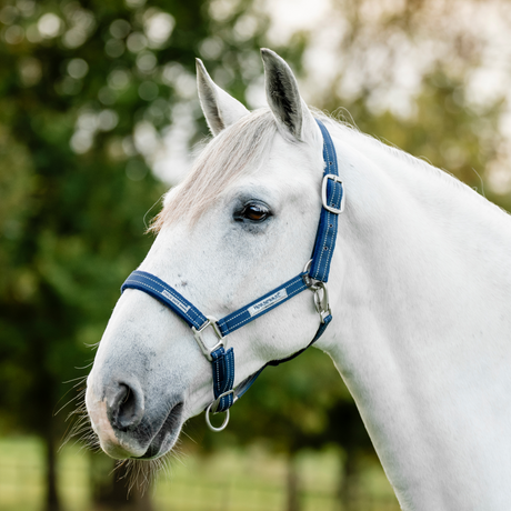 Horseware Ireland Field Safe Headcollar #colour_navy