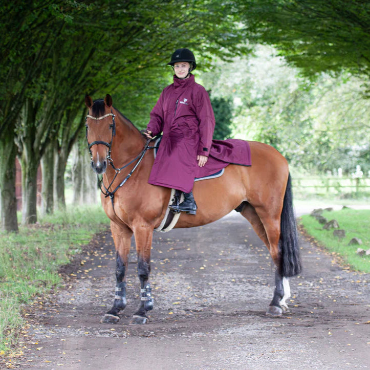 EQUIDRY Women's Thin Fleece Evolution #colour_plum-plum