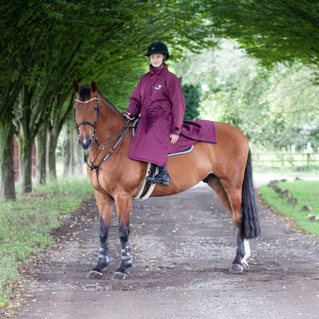 EQUIDRY Women's Thin Fleece Evolution #colour_plum-plum