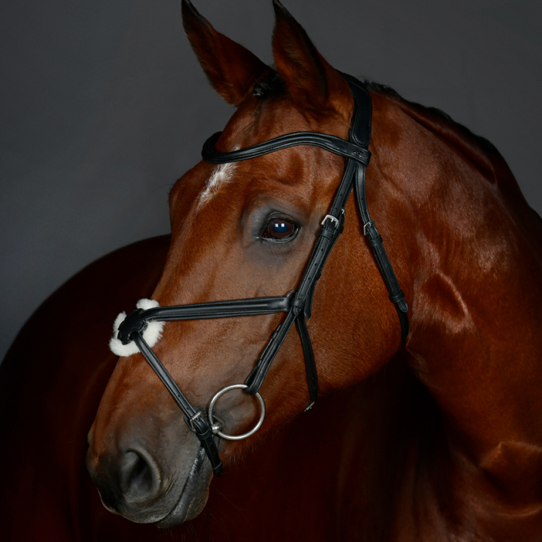 Collegiate Comfitec Opulux Plain Padded Grackle Bridle #colour_black