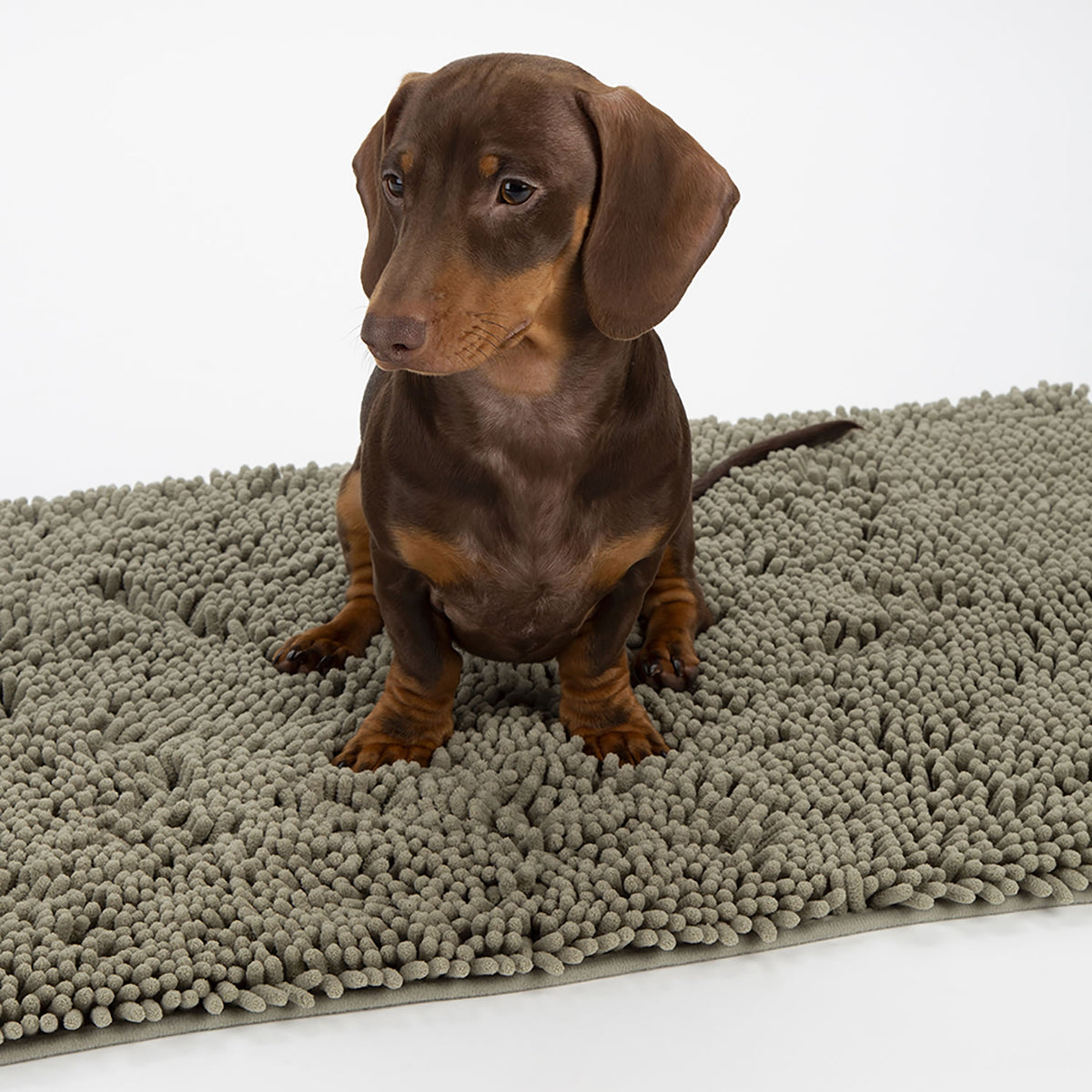 Scruffs Noodle Dry Mat #colour_sage-green