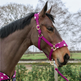 Supreme Products Dotty Fleece Head Collar & Lead Rope #colour_magical-mulberry