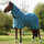 Weatherbeeta Green-Tec 1200D Detach-A-Neck Heavy Turnout Rug #colour_dragon-fly-blue-bottle-green