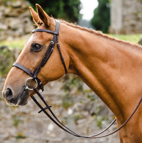 Mackey Classic Hunt Bridle with Reins #colour_brown