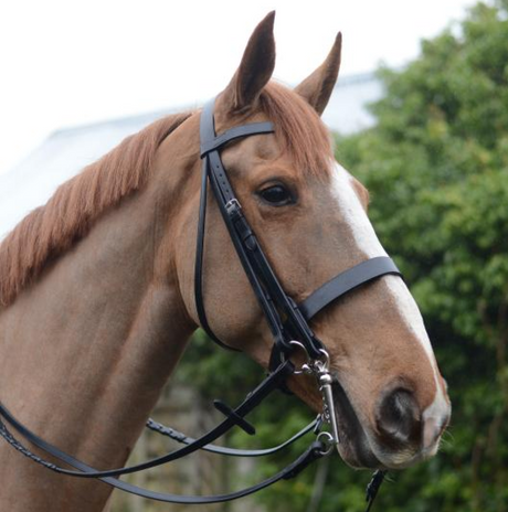 Mackey Classic Double Bridle #colour_brown
