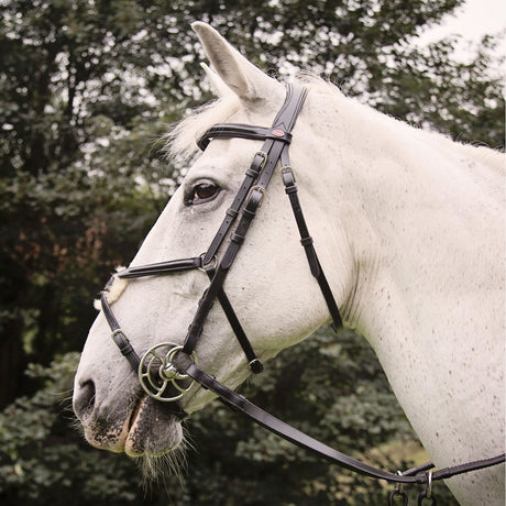 Whitaker Eastwood Mexican Bridle With Reins #colour_black