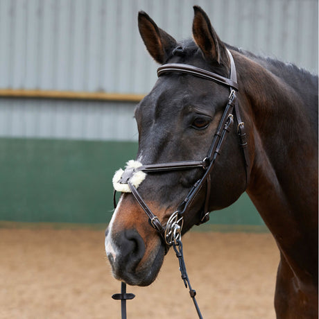 Whitaker Eastwood Mexican Bridle With Reins #colour_light-havana