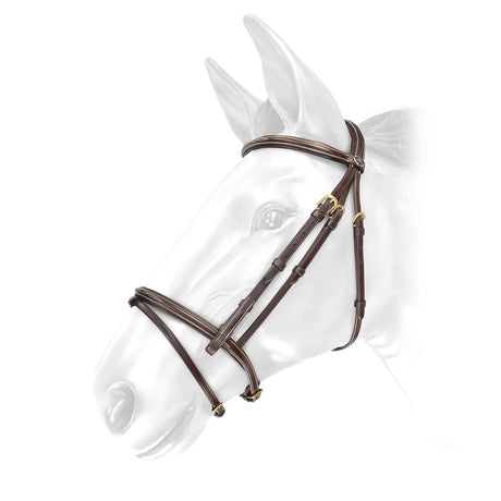 Whitaker Valencia Deluxe Flash Bridle With Reins #colour_oak-brown