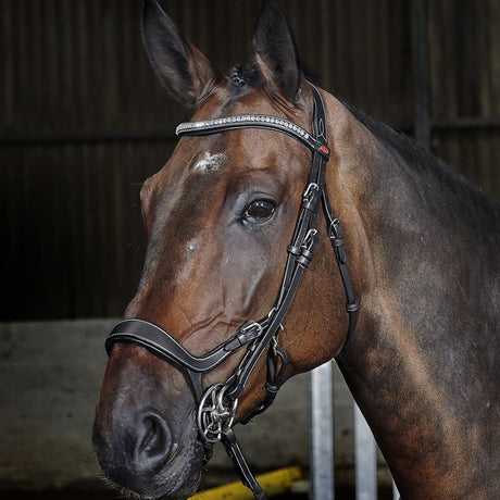 Whitaker Chicago Anatomic Bridle With Reins #colour_black
