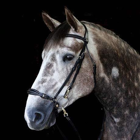 Whitaker Rome Bridle With Reins #colour_black
