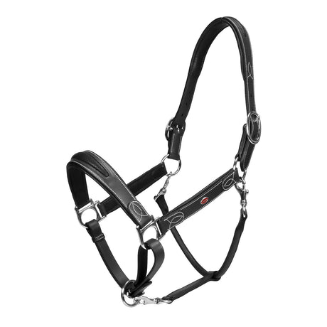 Whitaker Chicago Leather Headcollar #colour_black