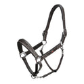 Whitaker Chicago Leather Headcollar #colour_light-havana