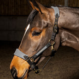 Whitaker Harewood Headcollar #colour_grey