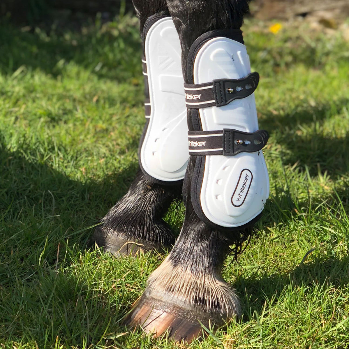 Whitaker Bingley Tendon Boots #colour_white