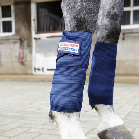 Whitaker Training Bandages #colour_navy