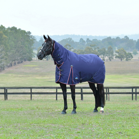 Weatherbeeta Comfitec Essential 360G Combo Turnout #colour_navy-burgundy