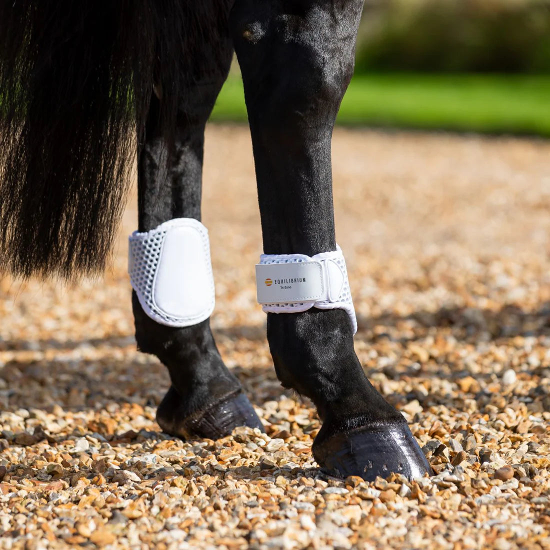 Equilibrium Tri-Zone Fetlock Boots #colour_white