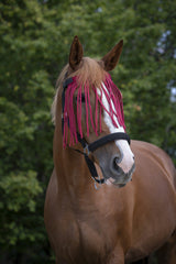 Norton Fly Browband #colour_red