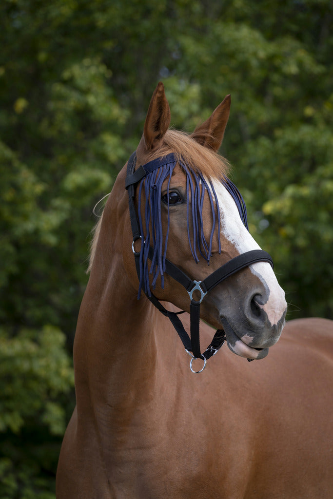Norton Fly Browband #colour_navy
