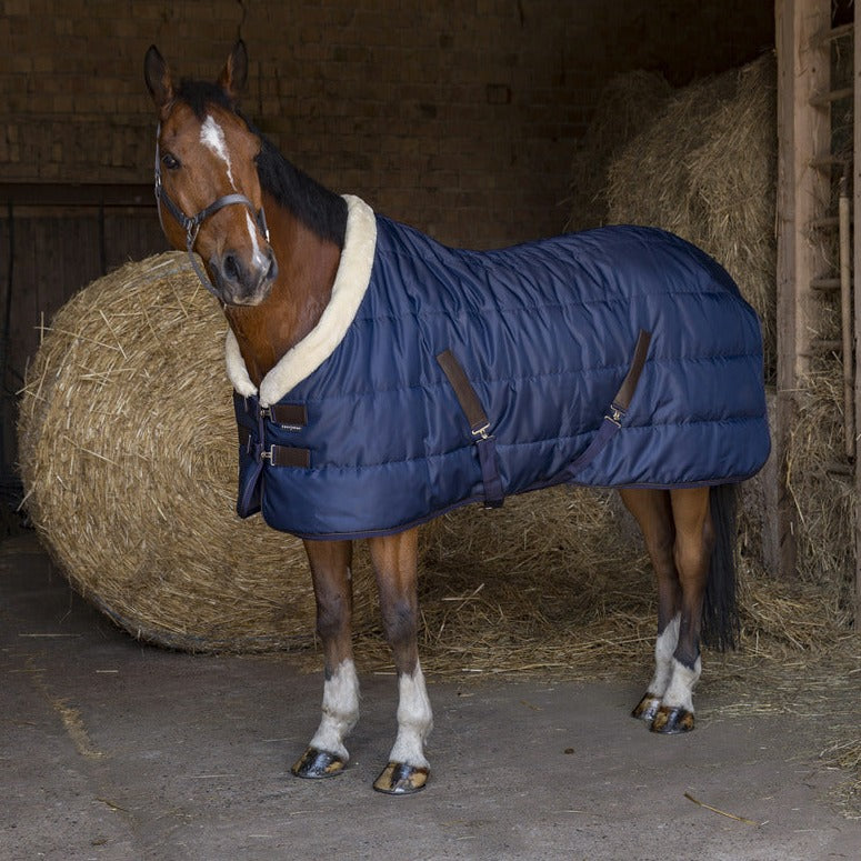 Equitheme Teddy Stable Rug #colour_navy-ecru