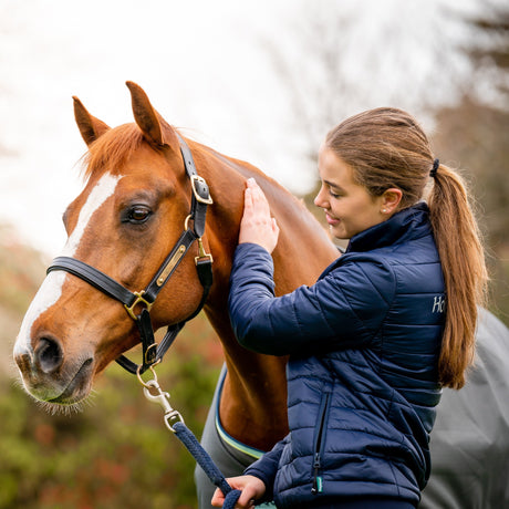 Horseware Ireland Amigo Hero 600D with Ripstop 50g #colour_shadow-blue-haze-navy