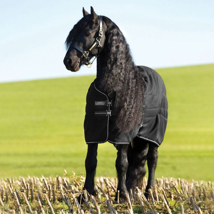 Horseware Ireland Rambo Stable 100g #colour_black-black-silver
