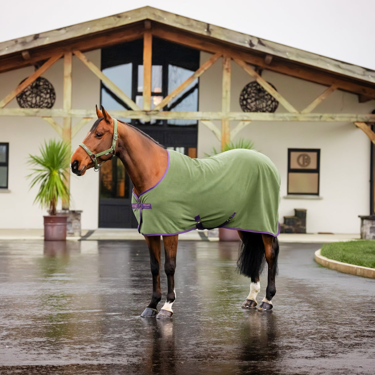 Horseware Ireland Amigo Fleece Cooler #colour_bramble-winterberry-taupe