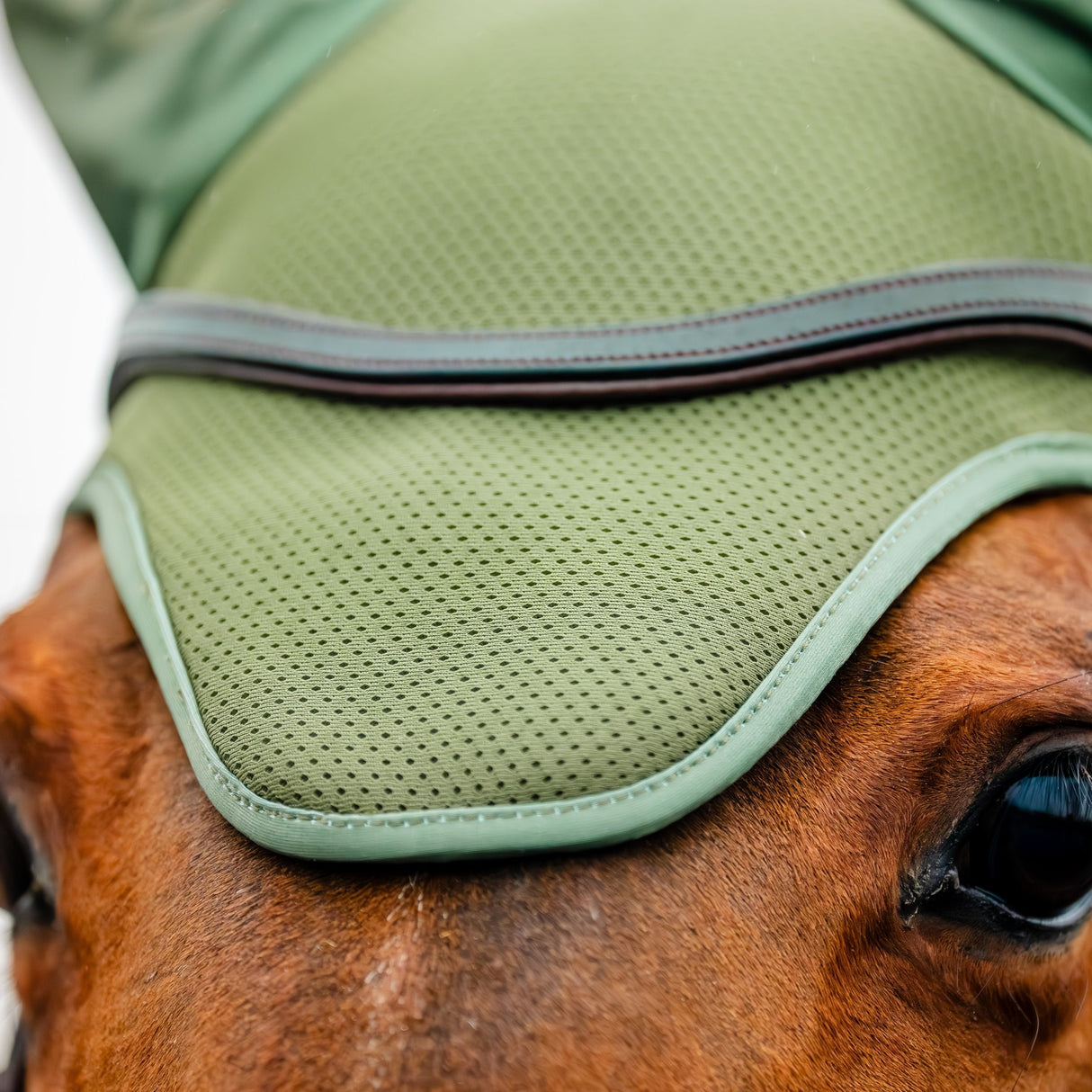 Horseware Ireland Amigo Ear Net #colour_bramble