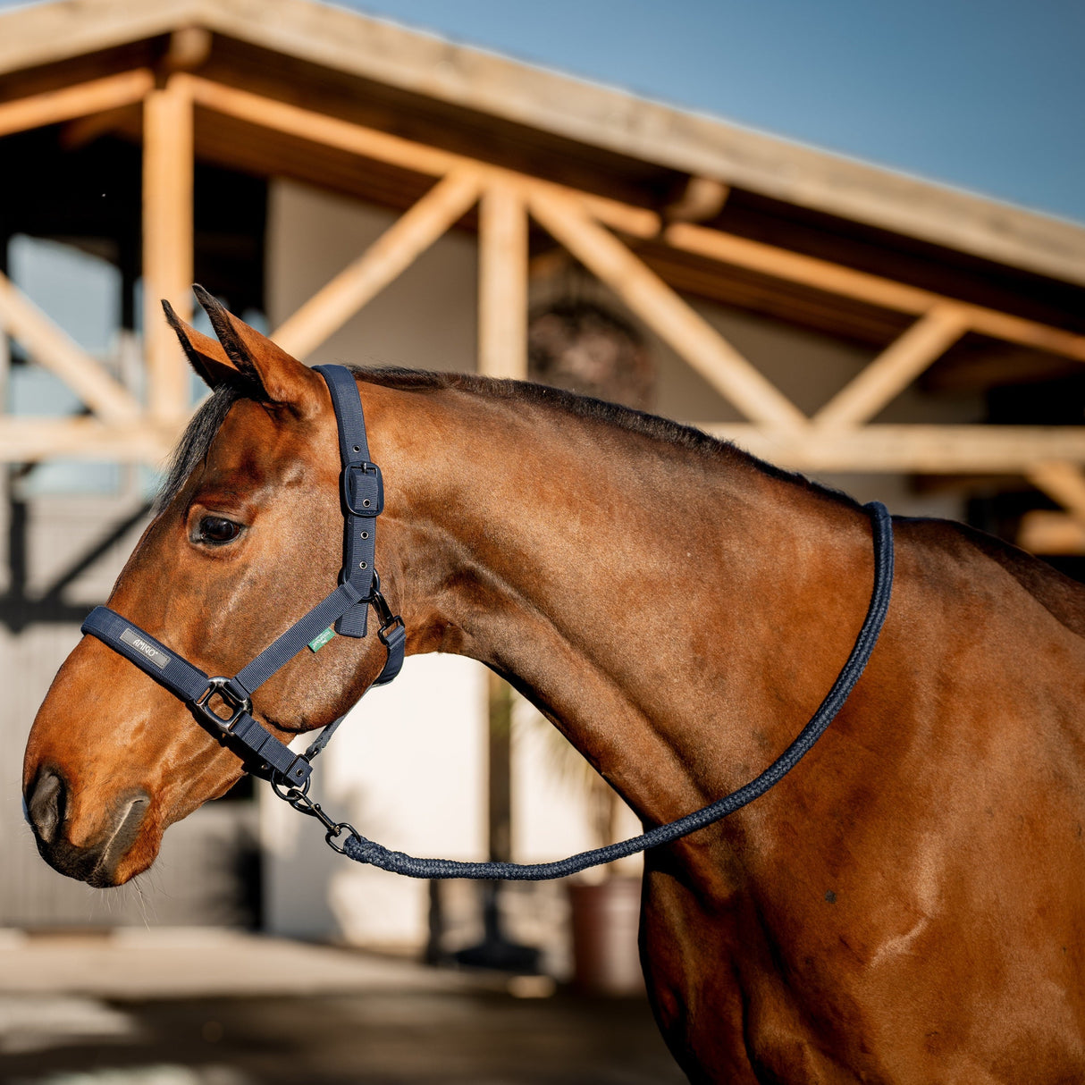 Horseware Ireland Amigo Headcollar & Leadrope Set #colour_navy