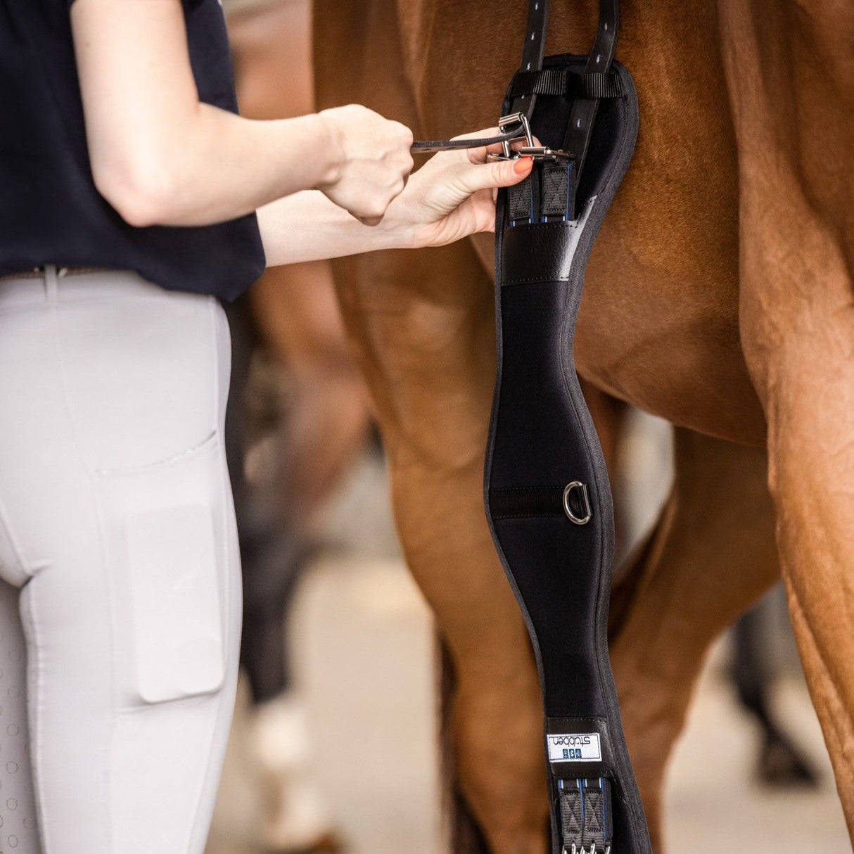 Sangle de selle Stubben en néoprène Coolmax Short avec extrémités élastiques