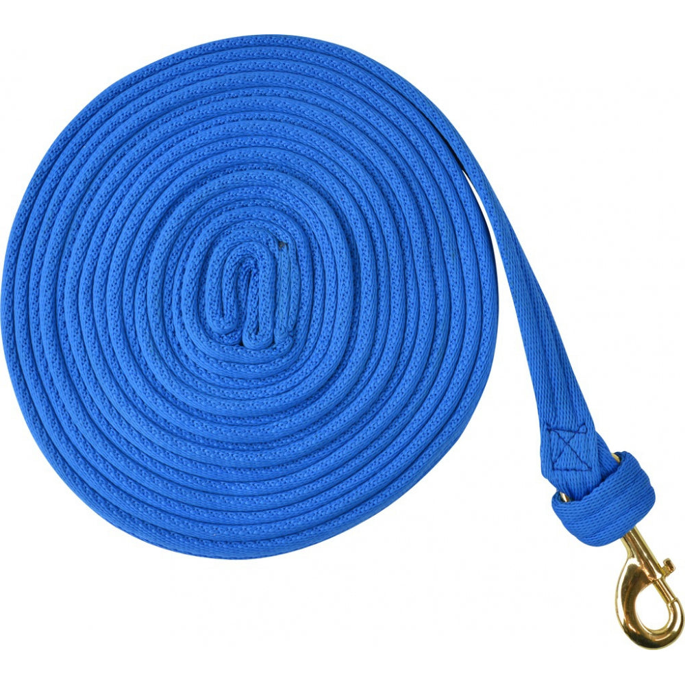 Norton Fluo Lunge Line #colour_bright blue