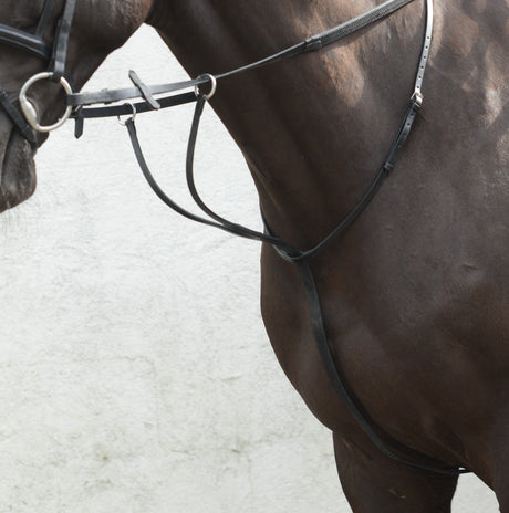 Mackey Equisential Running Martingale #colour_black