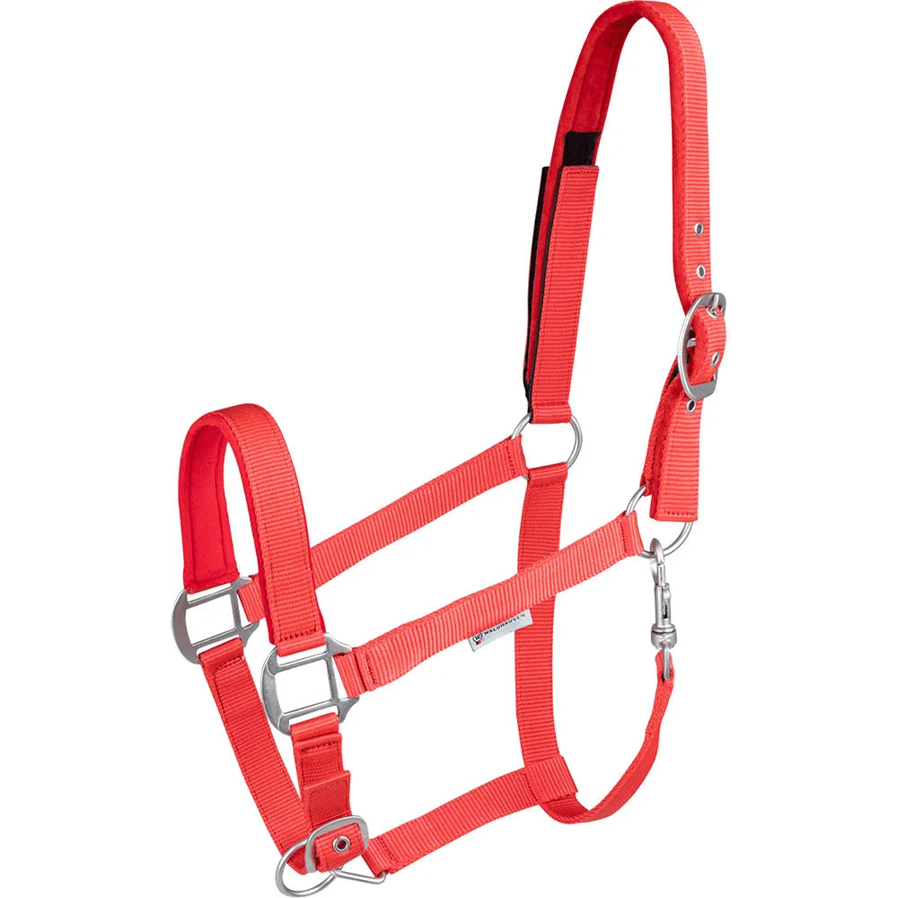 Waldhausen Safety Halter