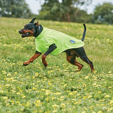 Weatherbeeta Comfitec Active Dog Coat #colour_yellow