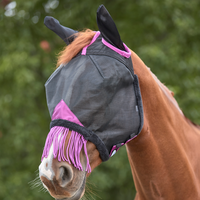 Weatherbeeta ComfiTec Deluxe Durable Mesh Mask With Ears & Tassels #colour_black-purple