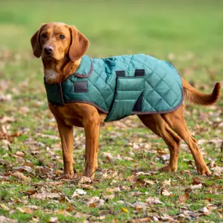 Shires Digby & Fox Heritage Dog Coat #colour_forest