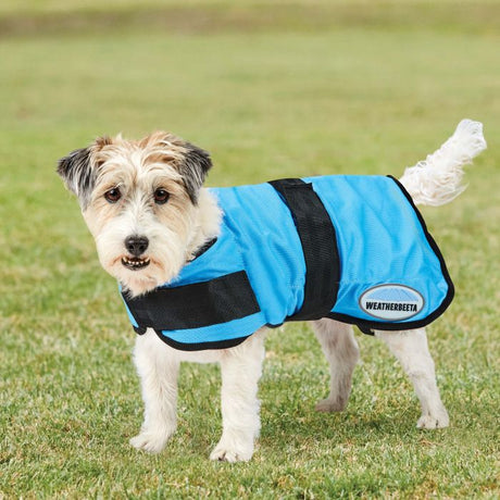 Weatherbeeta Therapy-Tec Cooling Dog Coat #colour_light-blue