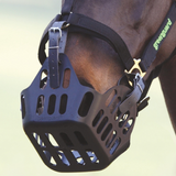 Sangle de rechange Shires Greenguard