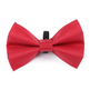 Shires Digby & Fox Bow Tie #colour_red