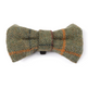 Shires Digby & Fox Bow Tie #colour_red-yellow-blue-check