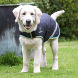 Shires Digby & Fox Waterproof Dog Coat #colour_grey